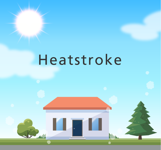                                                     Heatstroke                                                