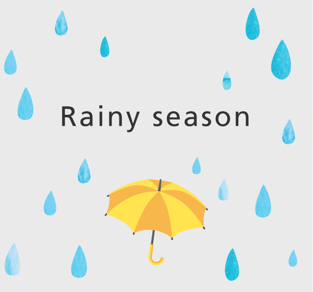                                                     Rainy season                                                